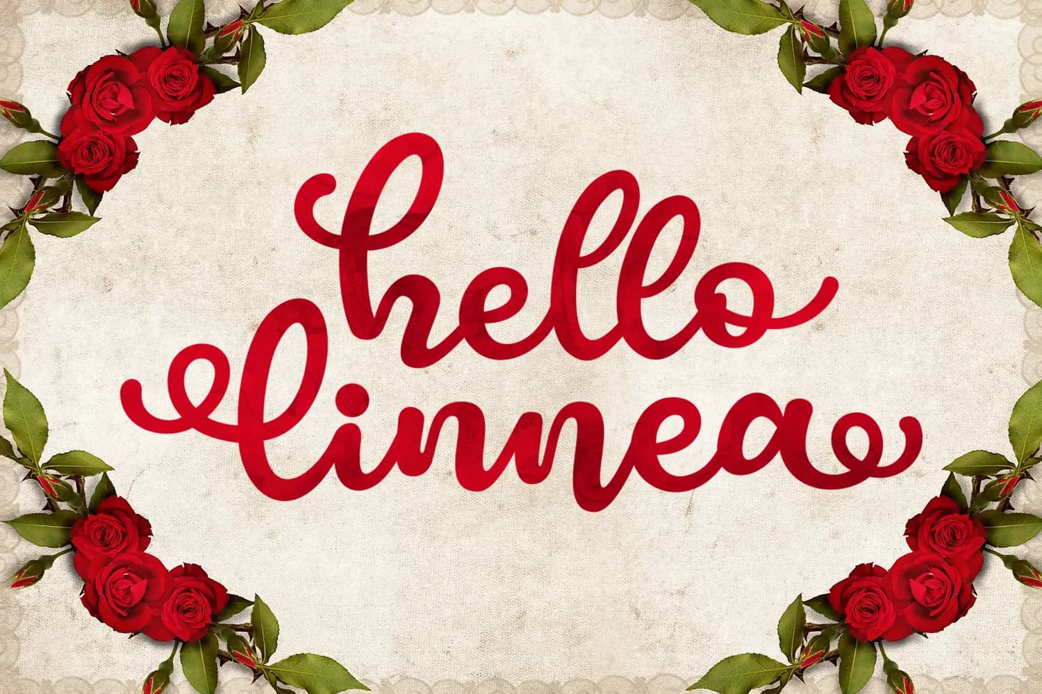 Hello Linnea