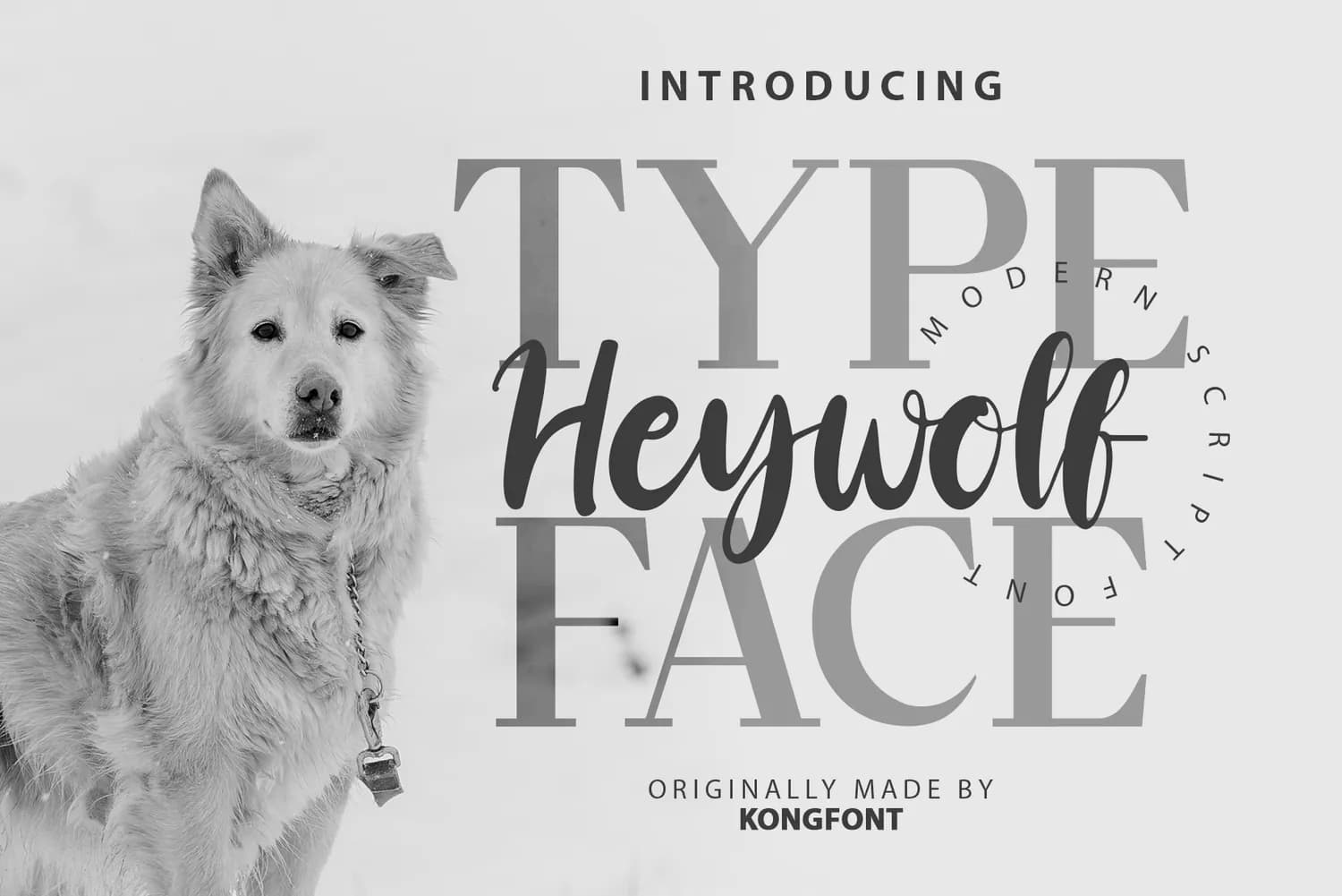 Heywolf