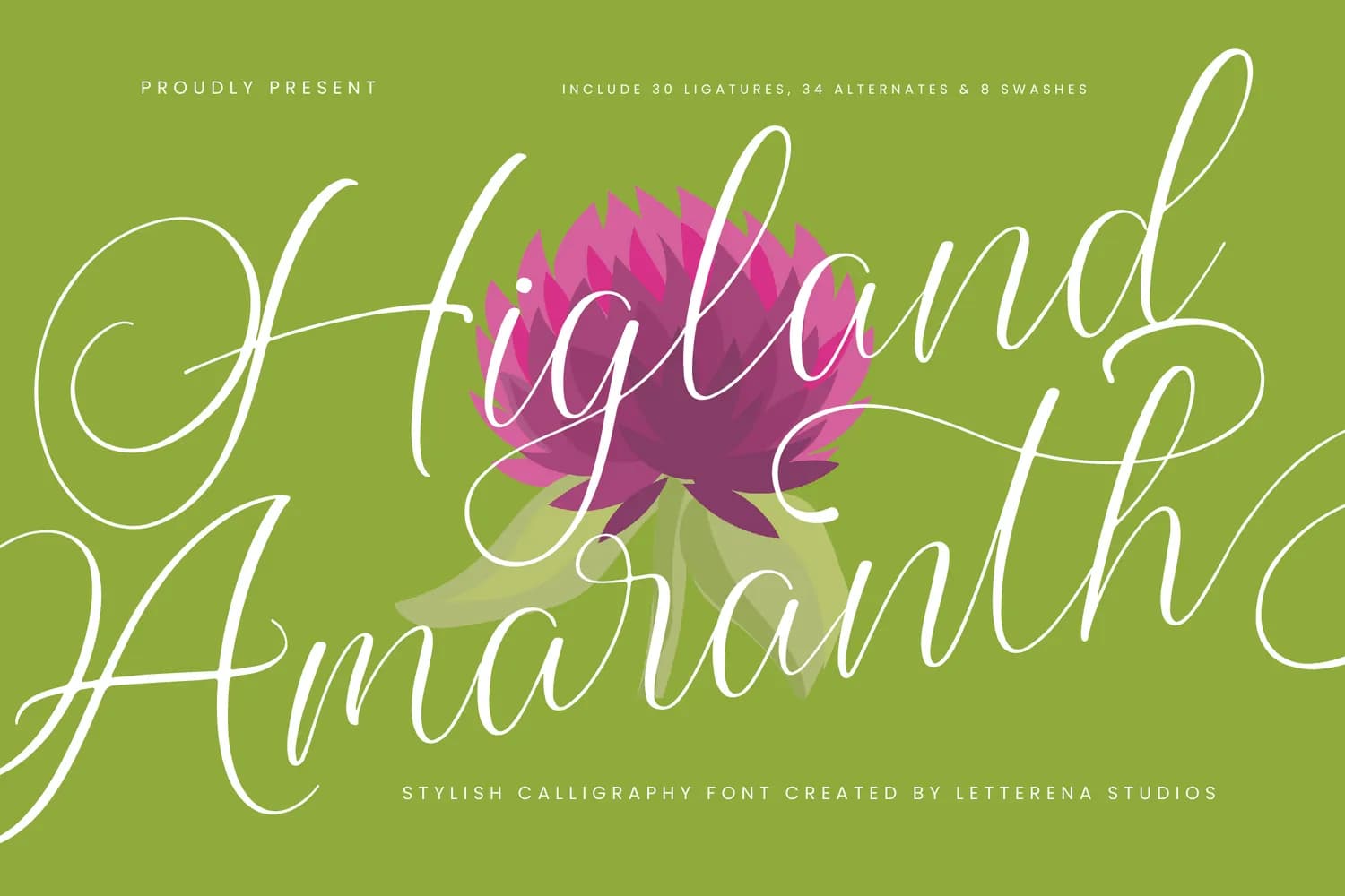 Higland Amaranth VERSION
