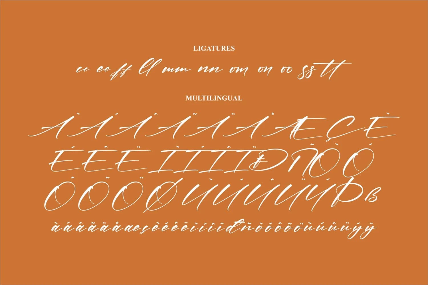 Historia Signate