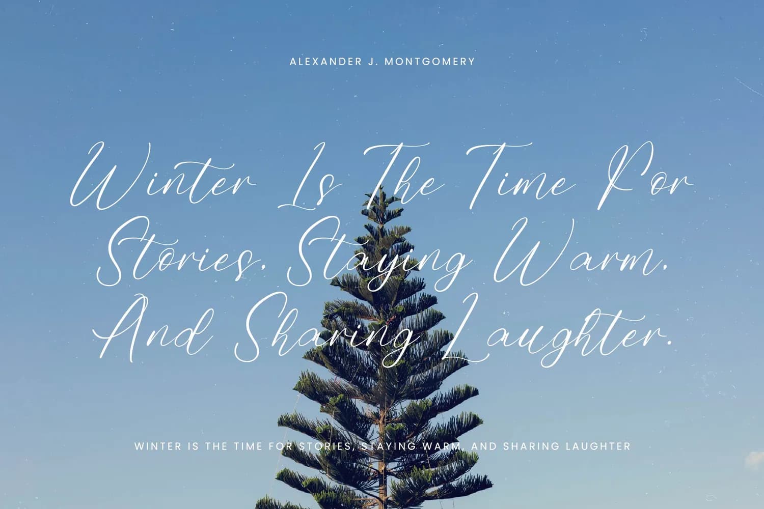 Homestay Winter VERSION