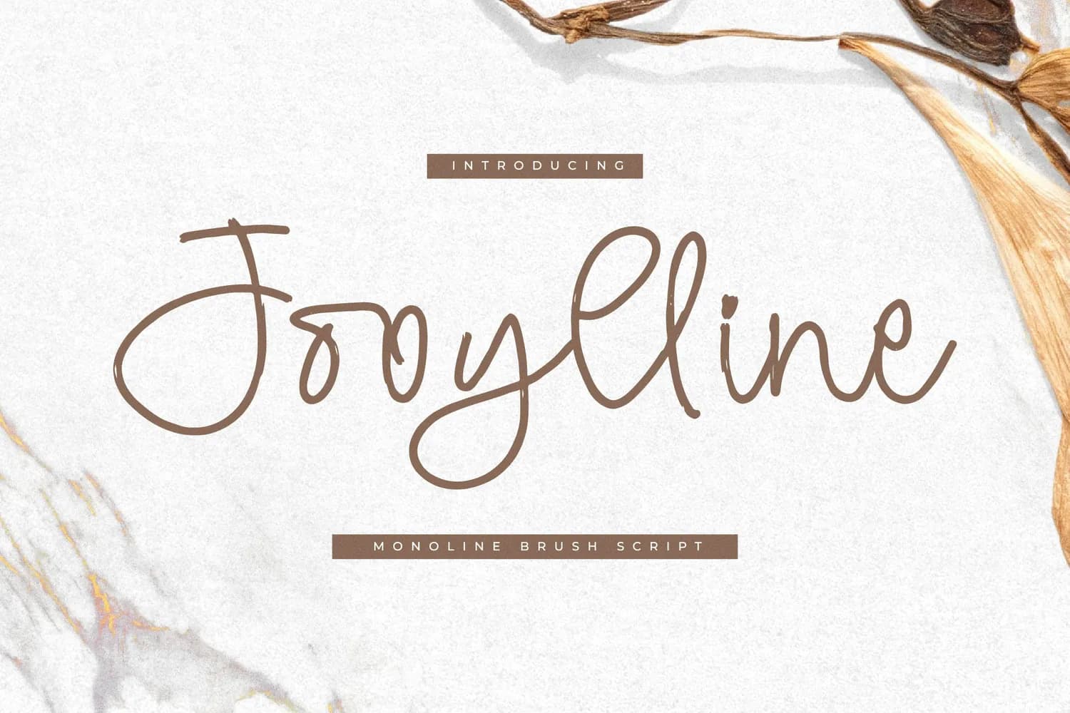 Jooylline