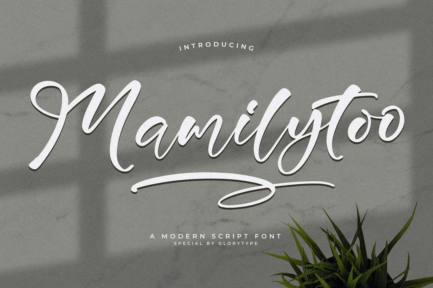 Mamilytoo
