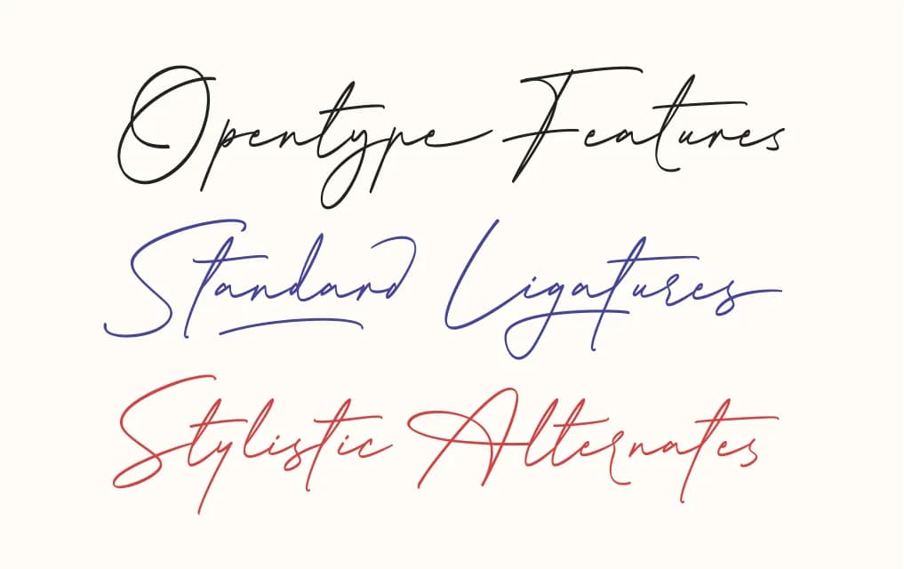 Modelista Signature