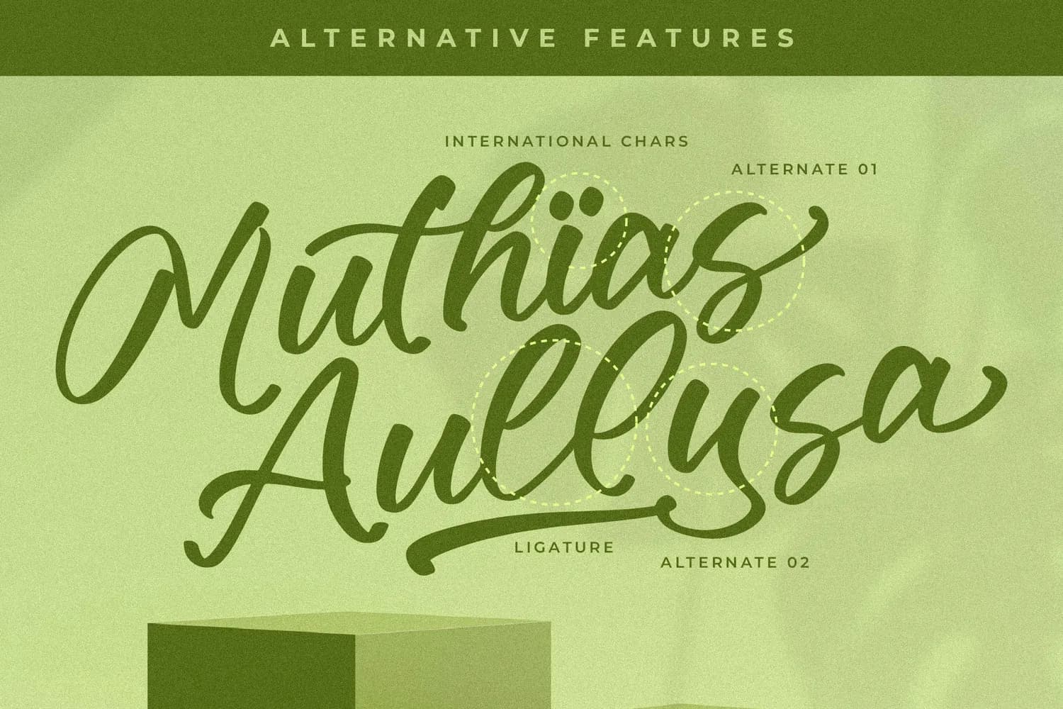 Muthias Aullysa