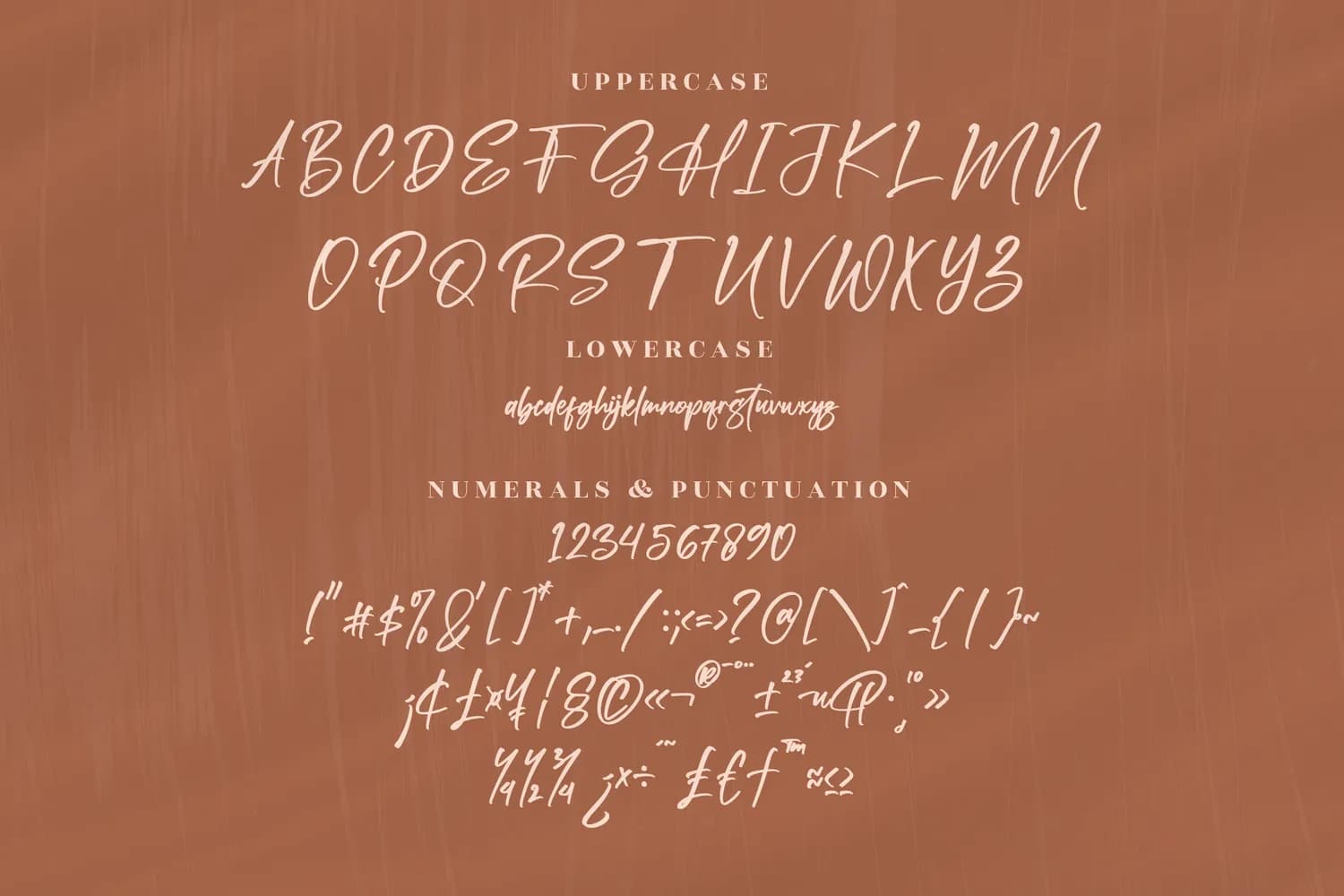 Pandora Rogtars