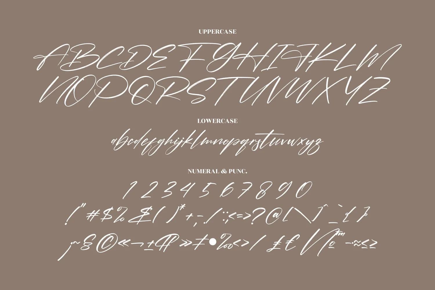 Pantherdam Signature
