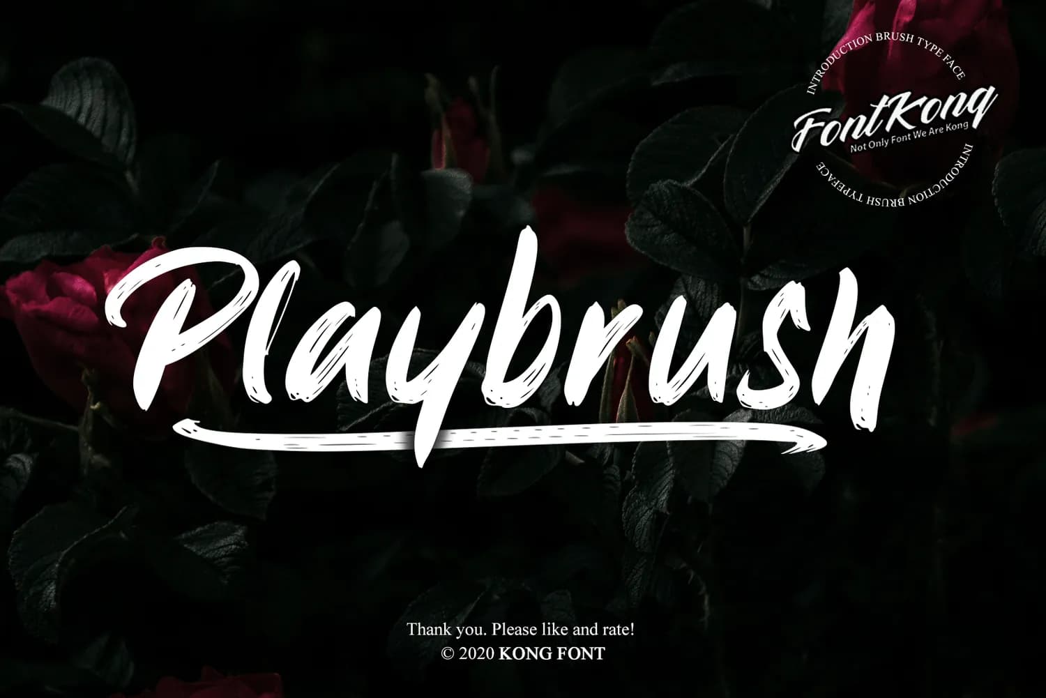 Playbrush