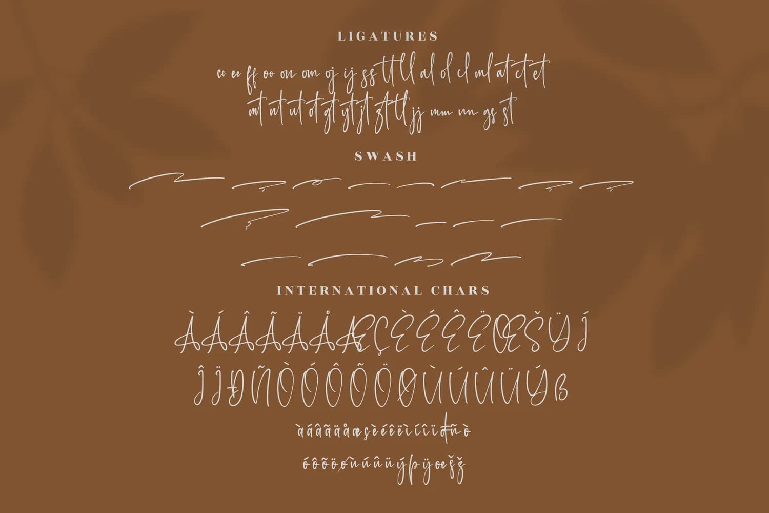 Rotherdam Signature