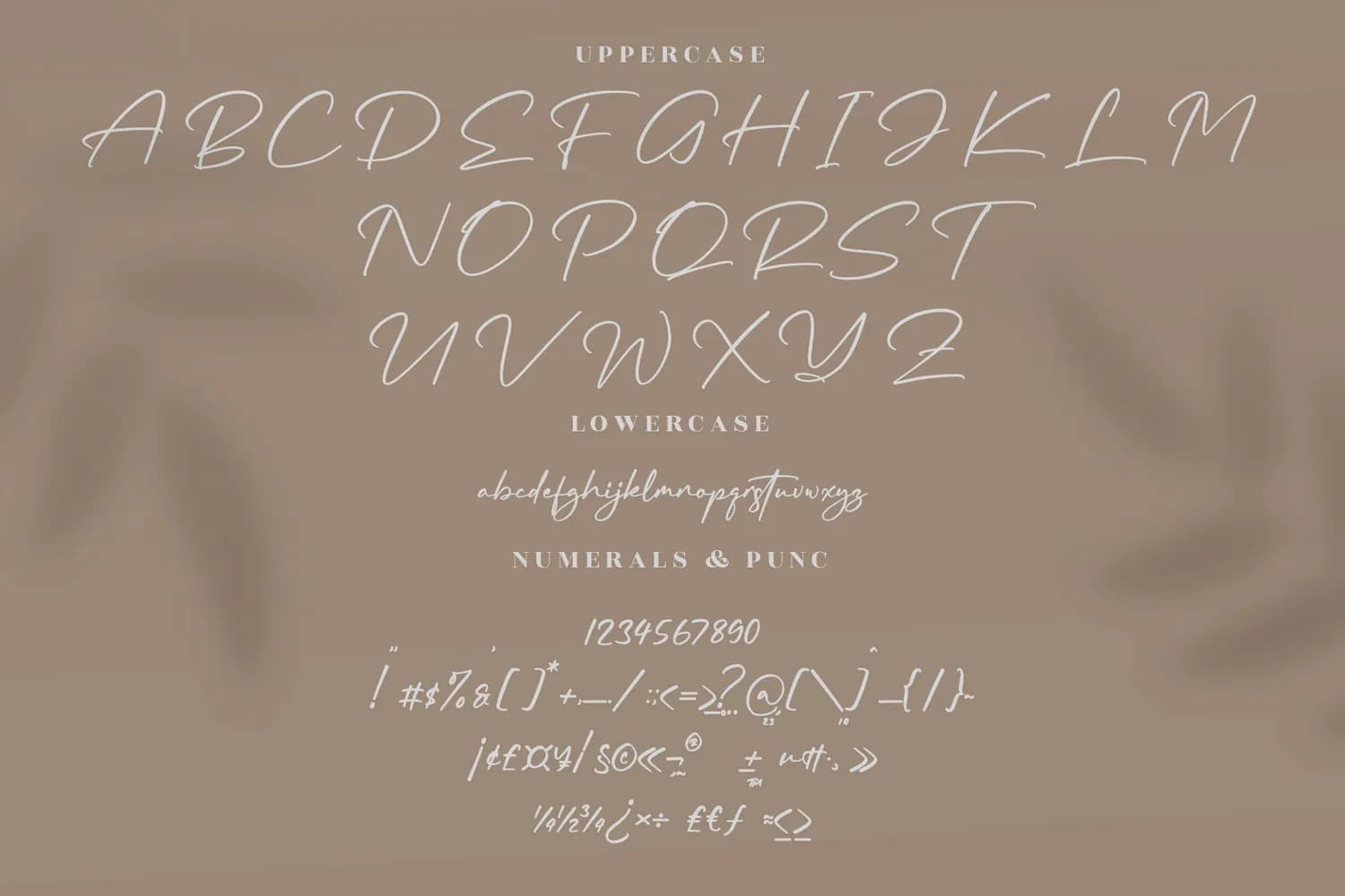 Rundreams Signature