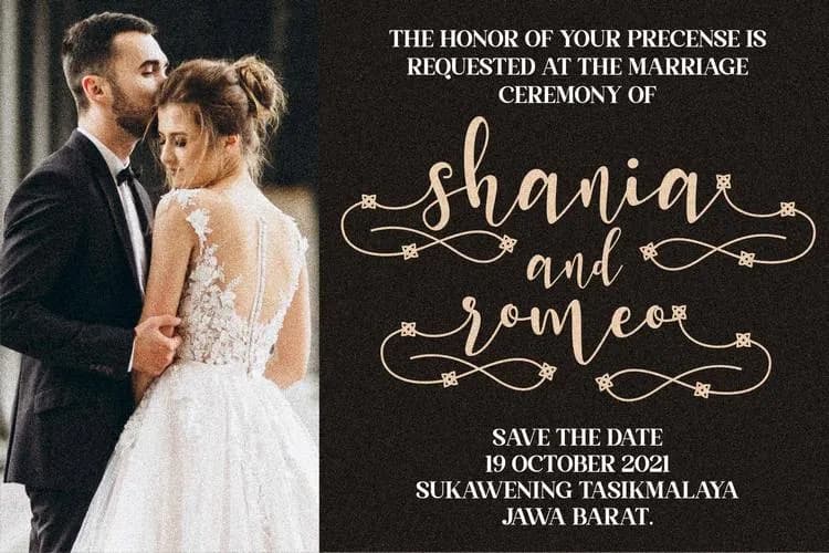 shania honey