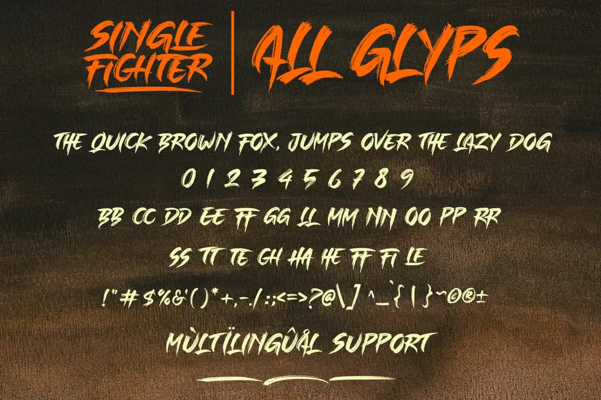 Single Fighter