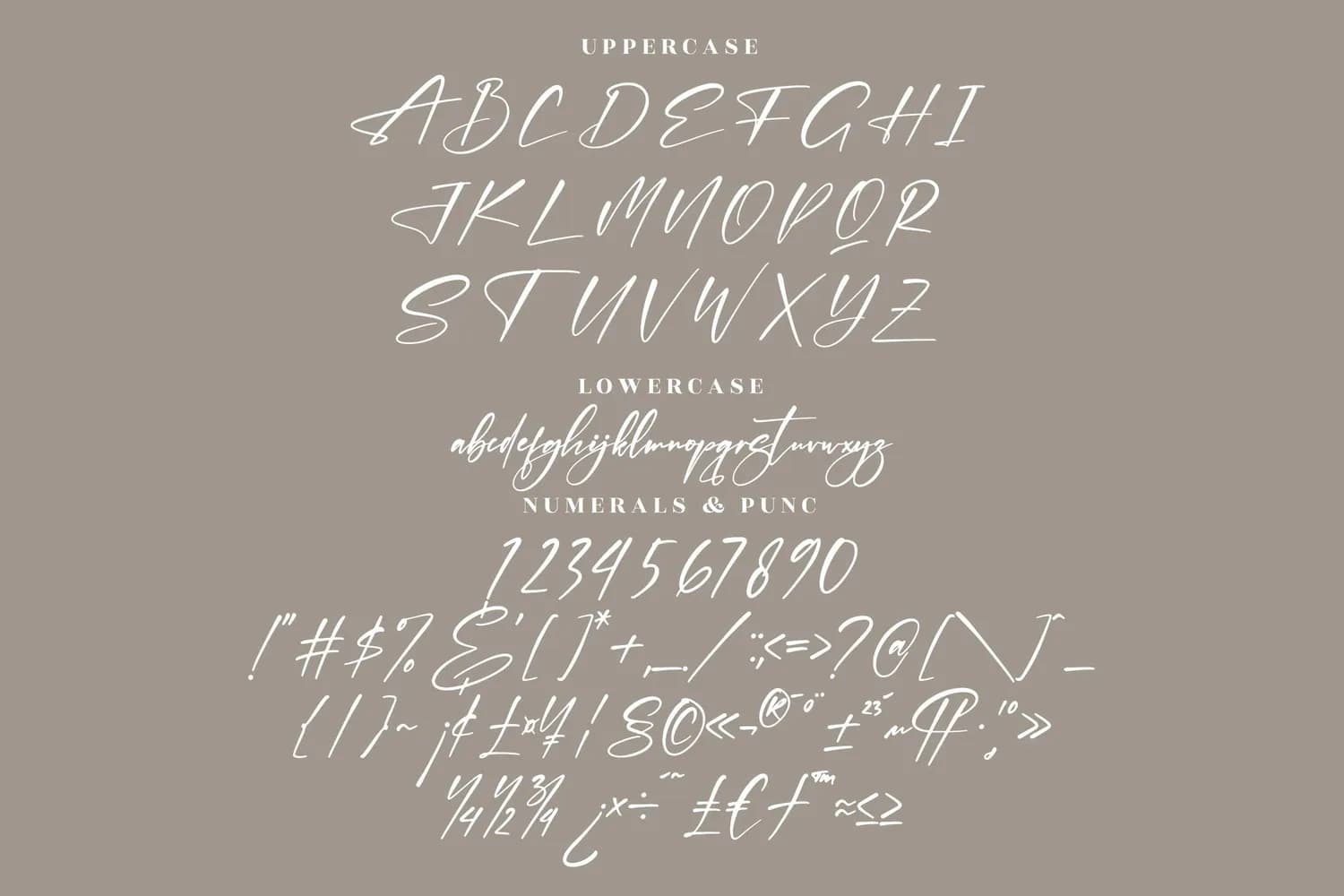 Thomson Signate
