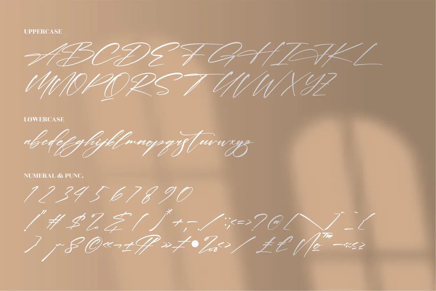 Verlitha Script