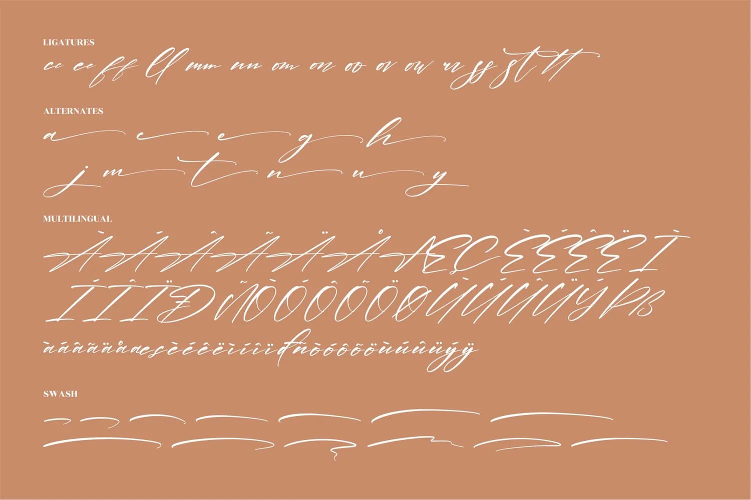 Verlitha Script