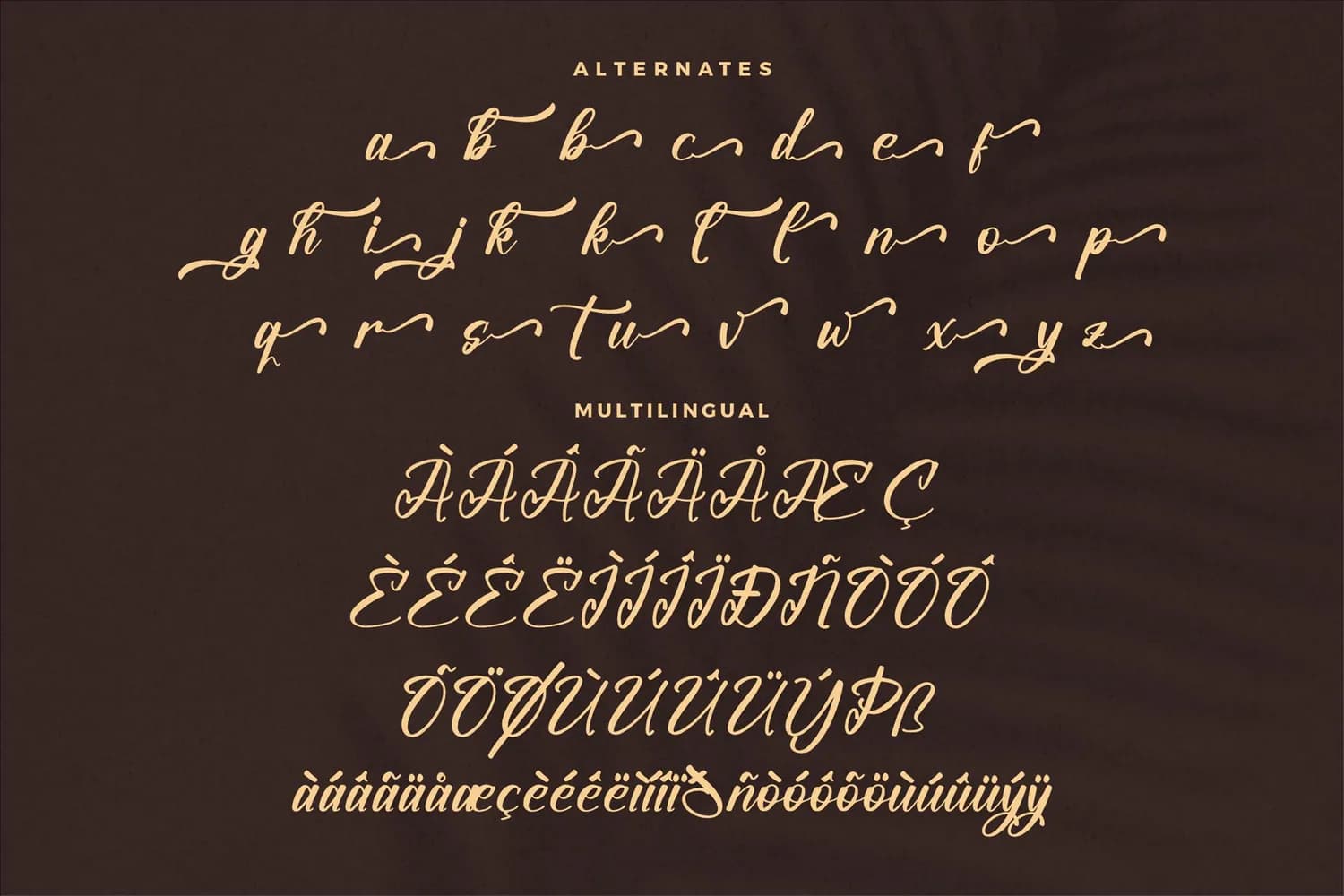 Violendy Qishega