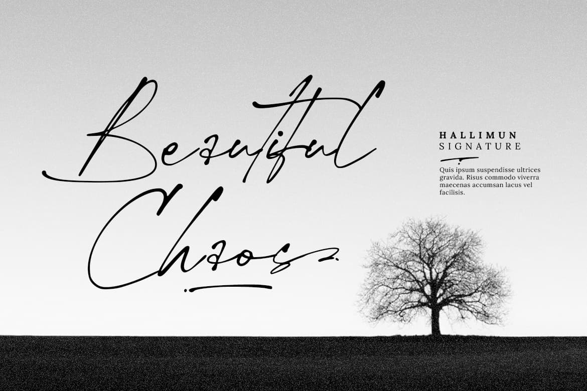 Hallimun Signature Casual Script