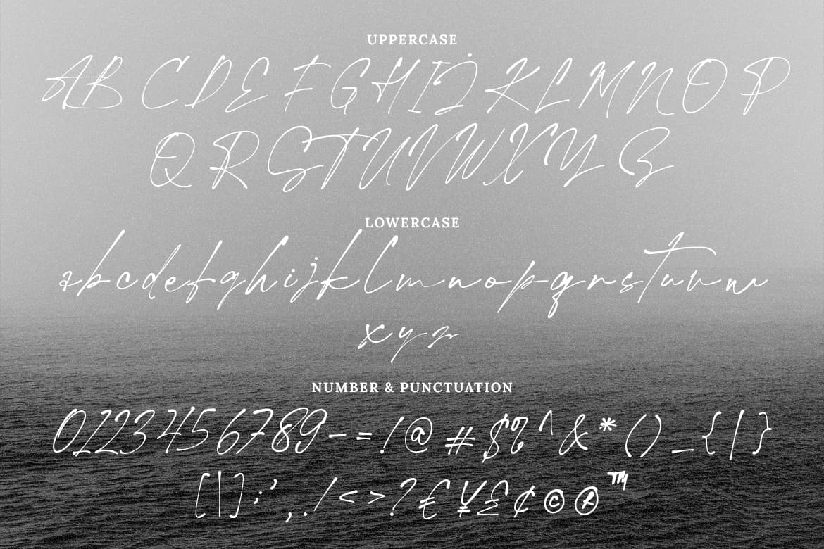 Hallimun Signature Casual Script