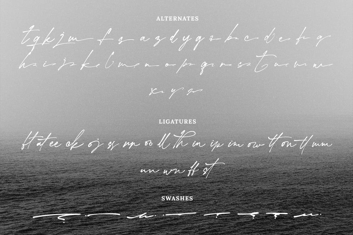 Hallimun Signature Casual Script